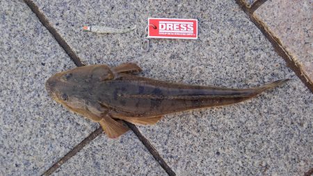 かぶと山公園にて