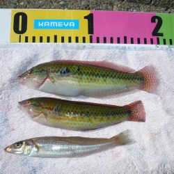 近場の二見でキス狙い