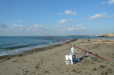 明石川河口で良型キスが釣れました