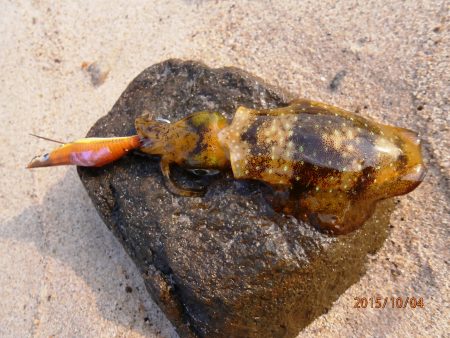 場所によって偏りが・・・