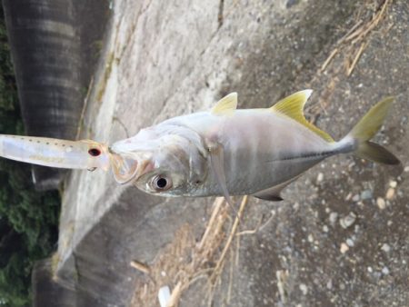 秋のライトゲーム！