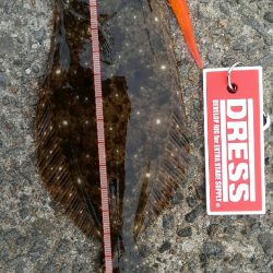 久美浜湾神崎周辺にて