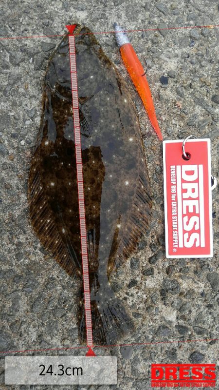 久美浜湾神崎周辺にて