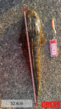 久美浜湾神崎周辺にて