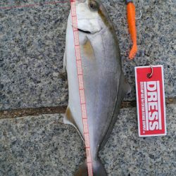 かぶと山公園にて