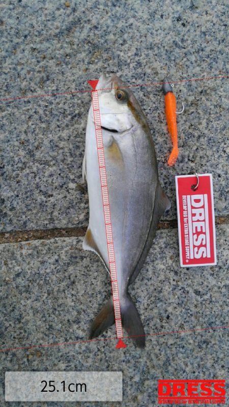 かぶと山公園にて