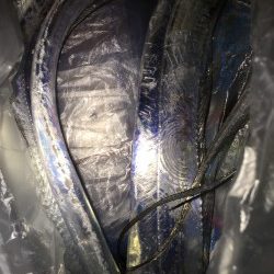 タチウオ。渋い、、、