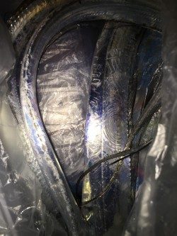 タチウオ。渋い、、、