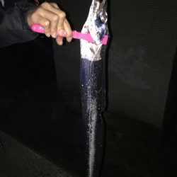 ゲキシブの中での価値ある一匹