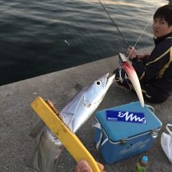 久々和歌山でのワインド