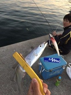 久々和歌山でのワインド