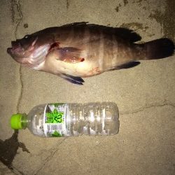 ジギング初釣行