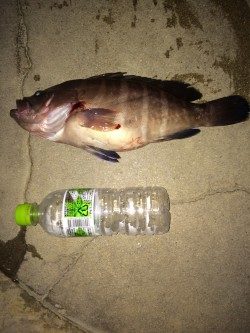 ジギング初釣行