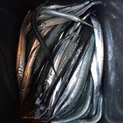 風が強くて、、、