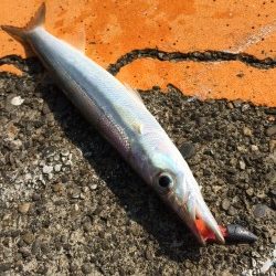 ドリームアップ、DD8で