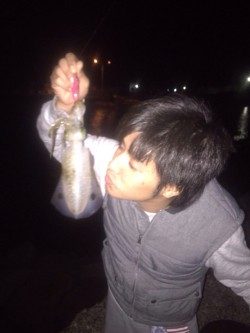 新子狙い(*´罒`*)