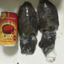 エギングのちジギング