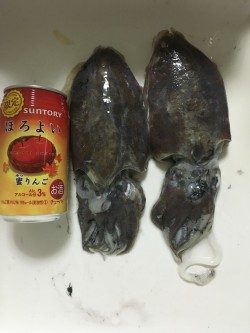 エギングのちジギング