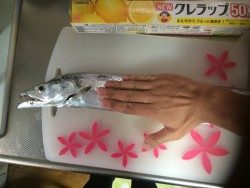 早朝ボイルで爆釣の筈が、、、
