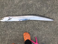 ジアイ終わりかと思いきやドラゴン！！