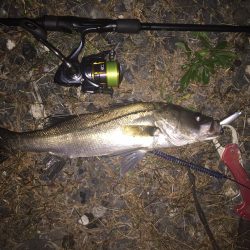 休日出勤帰りに一本