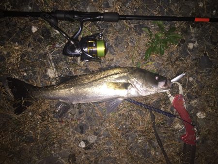 休日出勤帰りに一本