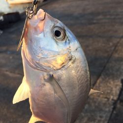 各所メッキ好調♪