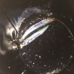 なんということでしょう…(´・_・`)