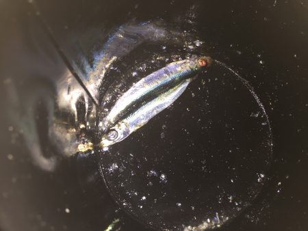 なんということでしょう…(´･_･`)