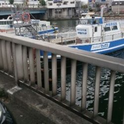 タチウオ 一文字