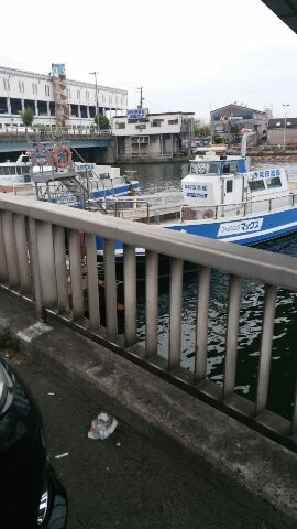 タチウオ 一文字