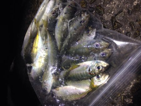 潮とは裏腹に(^^)