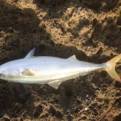 久しぶりの遠征