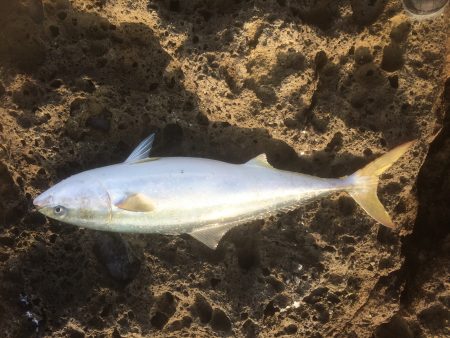 久しぶりの遠征