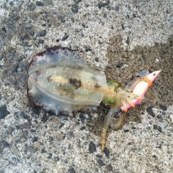 久しぶりの釣行