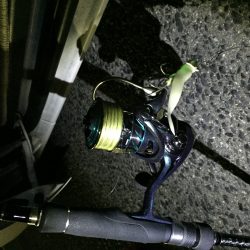 人でいっぱいです