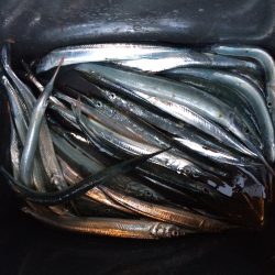 風が強くて、、、