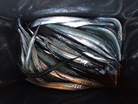 風が強くて、、、