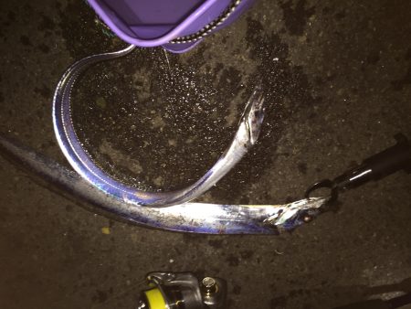 太刀魚 引き釣り