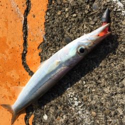 ドリームアップ、DD8で