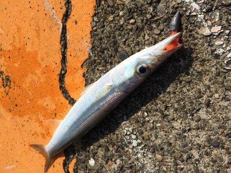 ドリームアップ、DD8で