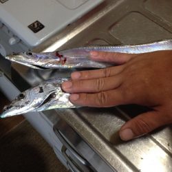 コスモスクエアにて