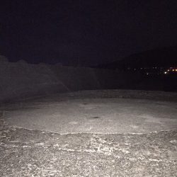 東浦 アジ泳がせ