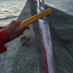 またまたムコイチ