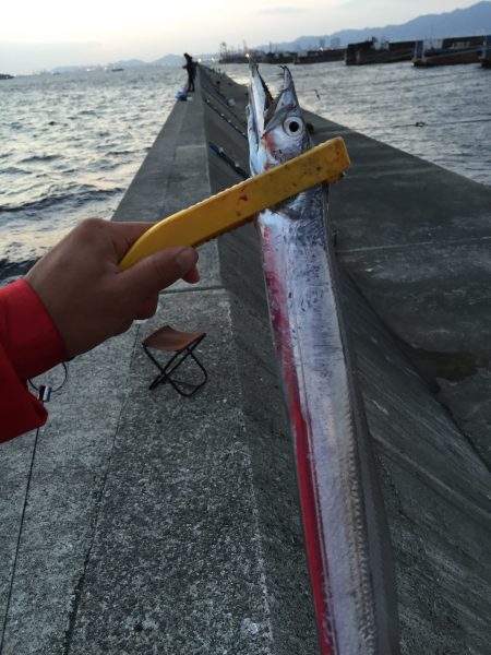 またまたムコイチ