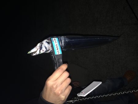 泉佐野 前島にて