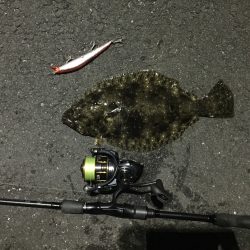 ヒラメが釣れました