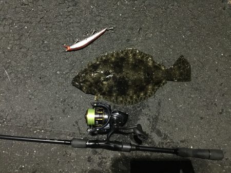 ヒラメが釣れました