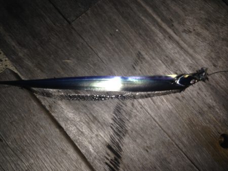 アタリ多いがなかなか乗らず