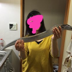 ワインドで太刀魚